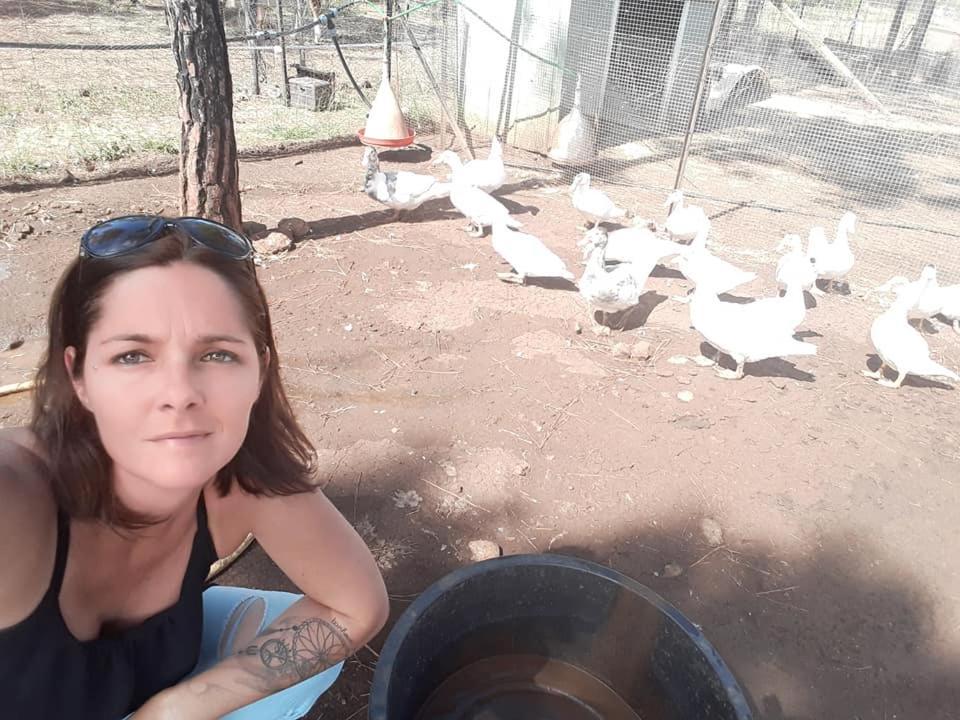 Le Gite Du Koniambo Voh Exteriér fotografie